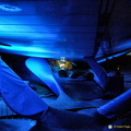 Exhibit inside the body of a whale (2513 odwiedzin) Exhibit inside the body of a whale
